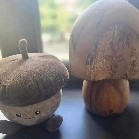 Falchenberch Lejlighed