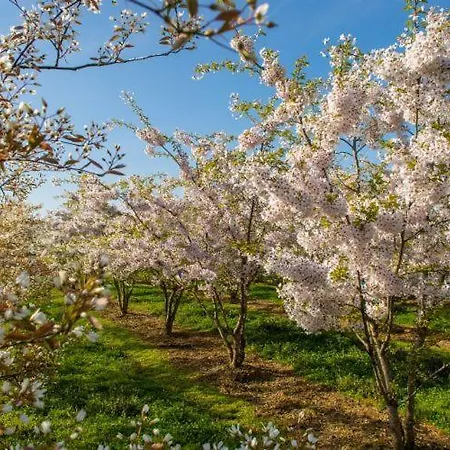 Apartment Falchenberch *