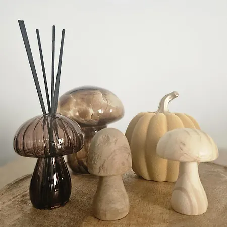 דירה Falchenberch *