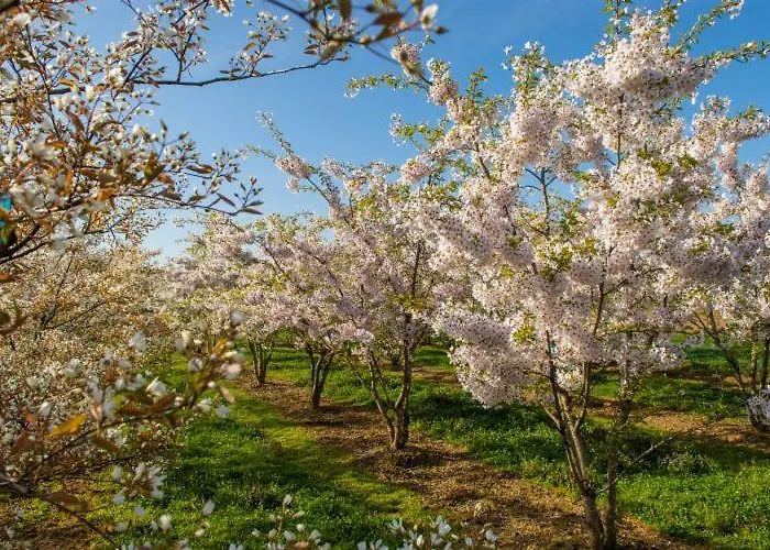 Apartamento Falchenberch *